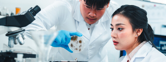 Young researchers collaborate on mold sample analysis in a science lab. The male scientist holds a petri dish while the female supervisor examines data. Team discovery and scientific breakthrough.