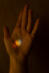Rainbow glare on a palm