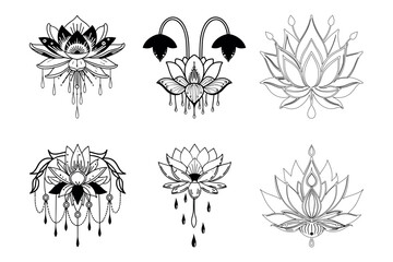 Six stylized lotus blossoms display varied line work and detailing, showcased on a transparent backdrop