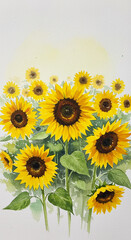 Fototapeta premium sunflowers on a white background