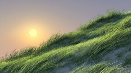 Lush green grass dune at sunset