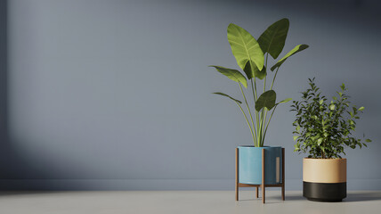 Indoor plants bring a touch of nature with vibrant greenery and modern planters against a blue background, simple decoration.