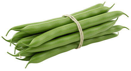 A bundle of fresh green beans tied together with natural twine string