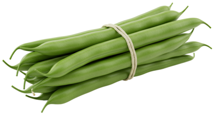 A bundle of fresh green beans tied together with natural twine string