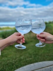Two people clinking gin glasses