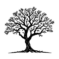 Obraz premium Vector illustration features a striking black oak tree silhouette 