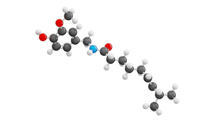 Molecule of Capsaicin isolated on transparent background. Detailed 3D model. Molecular formula: C18H27NO3. Chemical model: Ball and Stick. 3D illustration