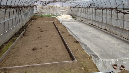 水稲のプール枠