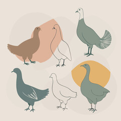 Naklejka premium a centered vector art board layout with exactly 6 different domestic and farm birds in full-body black silhouette style,