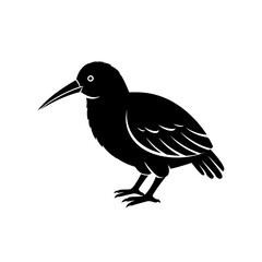 Obraz premium Silhouette of a bird with long beak standing still