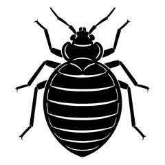 Detailed Black and White Bed Bug Insect Vector - Pest Control and Entomology Icon