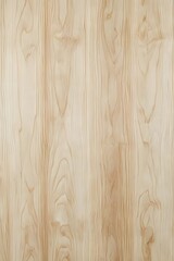 Fototapeta premium Light and uniform birch wood grain texture