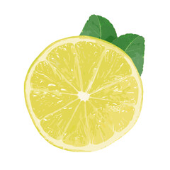 Lemon Icon Vector &ndash; Outline and Solid Citrus Fruit Silhouette