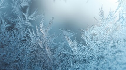 The shimmering frost over a delicate winter background.