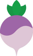Turnip real color icon on white background 