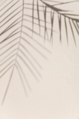 Shadow of palm leaves cast on a smooth, light-colored surface, creating a minimalist and natural...