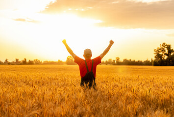 Rear view of male farmer with raised arms in cereal field at sunset