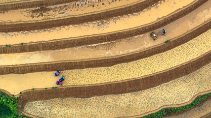 Hmong farmers prepare their fields and plant rice on terraced fields in Mu Cang Chai, Yen Bai....
