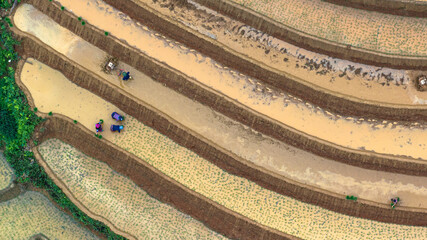 Hmong farmers prepare their fields and plant rice on terraced fields in Mu Cang Chai, Yen Bai....