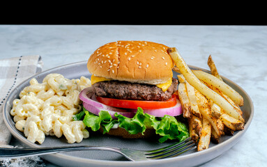 cheese burger with  fries and macaroni salad