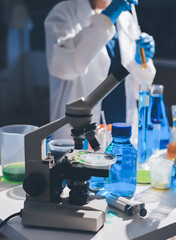 Fototapeta premium Scientist pipetting medical samples into microplate in laboratory