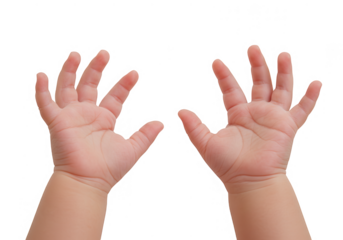 Tiny baby hands reaching out isolated on transparent background