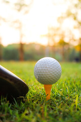 Close-Up of Golf Ball Teed on Grass Awaiting Swing at Sunset