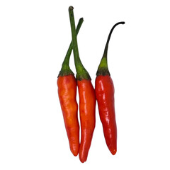 red hot chili pepper
