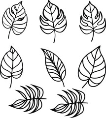 Tropical leaves line art illustration