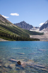 Mountain lake with logs in clear blue water