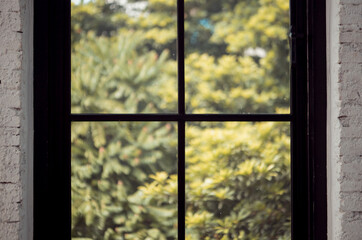 Fototapeta premium View through a window showing lush green foliage and tree branches outside, capturing a peaceful and natural atmosphere from indoors