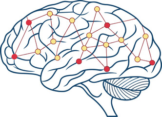 Human Brain Concept Design Featuring Mind Map Neural Network and Intelligence Theme. Medical Brain Illustration Focused on Memory Cognition and Science Technology Use. Human Brain Diagram with Neural