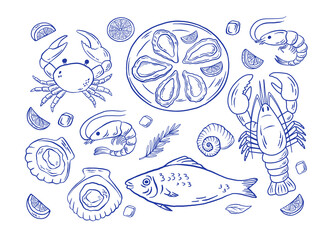 Set of hand draw Mediterranean seafood vector illustration. Oysters, lobster, crawfish, fish, scallop, shrimp doodle sketch icon set. La dolce vita