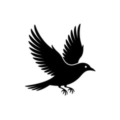 Obraz premium Flying Bird Silhouette