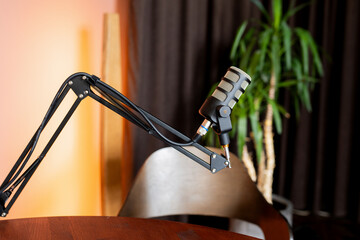 Podcast setup with a microphone on an adjustable arm near a plant in a cozy studio environment