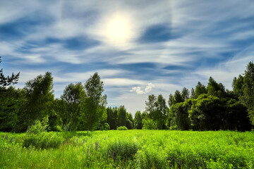 Summer panorama landscape with blue sky in soft white clouds over green field of grass. Beautiful natural countryside. Nature rural scene with copy space for design