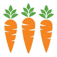 Three Fresh Carrots Illustration