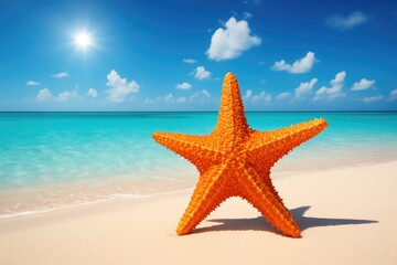 Fototapeta na wymiar Orange starfish on sandy beach turquoise ocean blue sky image