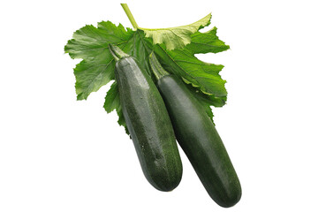 Freshly picked zucchini isolated on white background