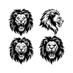 lion black and white