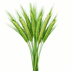 Fototapeta premium A vector of cyber green wheat design Art & Illustration