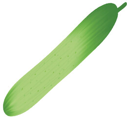 cucumber isolated on white background
