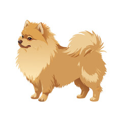 Obraz premium Cute Pomeranian Dog Vector – Fluffy Small Breed Pet Illustration | Adorable Cartoon Puppy Clipart for Stickers, T-Shirts, Branding & Decor