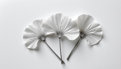 Three Elegant White Paper Fans on a Smooth White Background