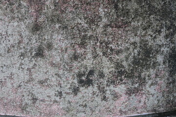 stone wall texture