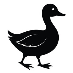 Silhouette of a Duck