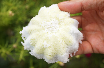 Closeup of Traditional Thai Muslim Dessert Called Bootoo or Butu, Made of Steamed Ground Rice and...