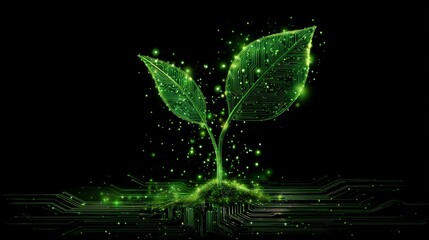Digital plant emerges with green circuit board pattern against black background, showing growth and technology