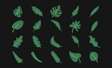 Minimalist Tropical Plant Graphic Pack