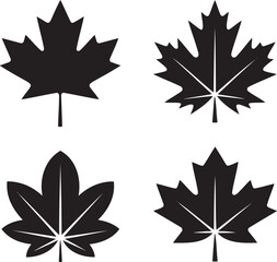 Fototapeta premium Maple leaf silhouette set vector illustration isolated On Transparent Background